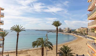 Venta - Apartment - Torrevieja - Estacion de autobuses