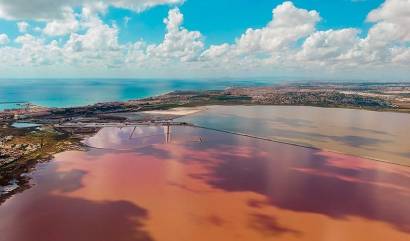 Venta - Apartment - Torrevieja - La Mata