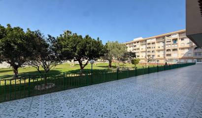 Venta - Apartment - Torrevieja - Parque de las Naciones