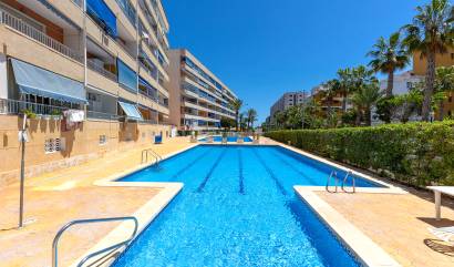 Venta - Apartment - Torrevieja - Rocio del mar