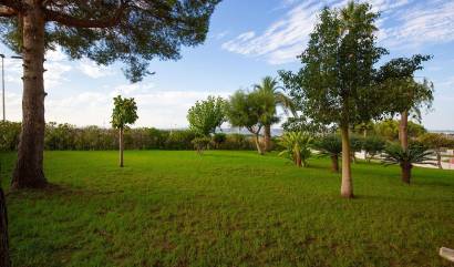 Venta - Apartment - Torrevieja - Torreblanca