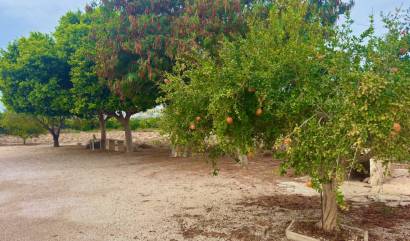 Venta - Country House - Rojales - Ciudad Quesada