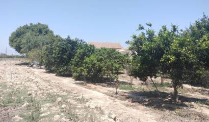 Venta - Country House - Rojales - Ciudad Quesada