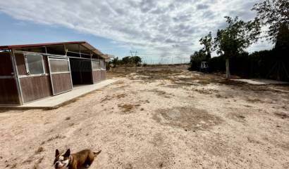 Venta - Country House - San Fulgencio - La Marina