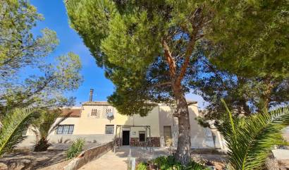 Venta - Country House - Yecla