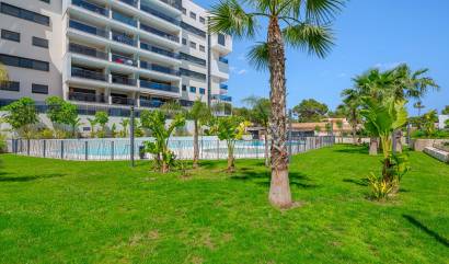 Venta -  - Dehesa De Campoamor - Dehesa de campoamor