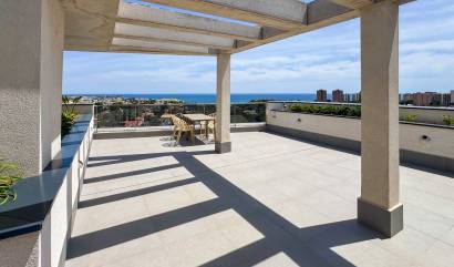 Venta -  - Dehesa De Campoamor - Dehesa de campoamor