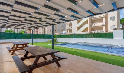 Venta -  - Guardamar del Segura - Guardamar