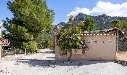 Venta -  - La Zarza - La Zarza Murcia