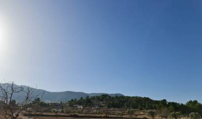 Venta - Land - Jumilla