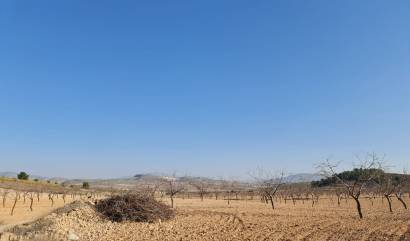 Venta - Land - Jumilla