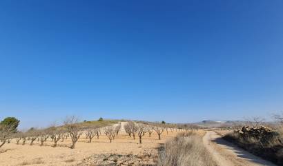 Venta - Land - Jumilla