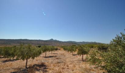 Venta - Land - Macisvenda