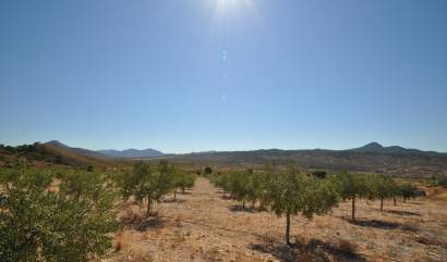 Venta - Land - Macisvenda