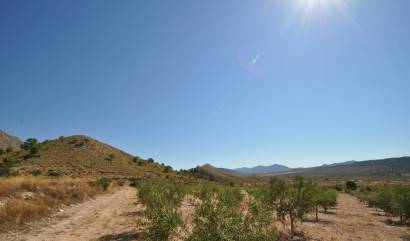 Venta - Land - Macisvenda