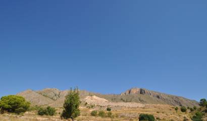 Venta - Land - Macisvenda