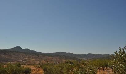 Venta - Land - Macisvenda