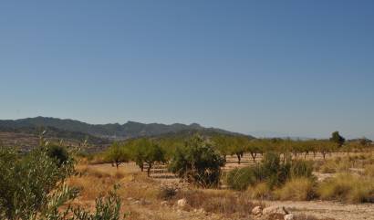 Venta - Land - Macisvenda