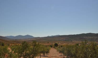 Venta - Land - Macisvenda