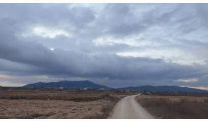 Venta - Land - Pinoso