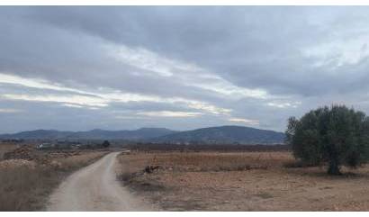 Venta - Land - Pinoso