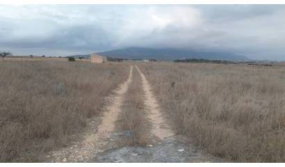 Venta - Land - Pinoso