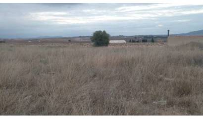 Venta - Land - Pinoso