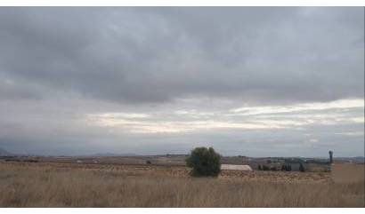 Venta - Land - Pinoso