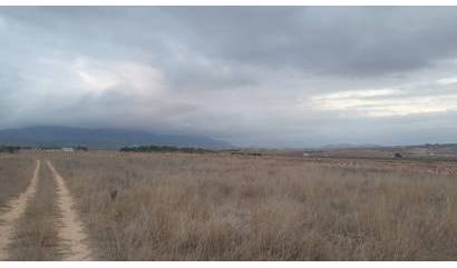 Venta - Land - Pinoso