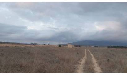 Venta - Land - Pinoso