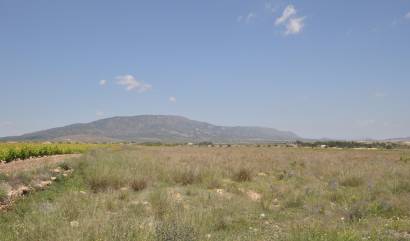 Venta - Land - Pinoso