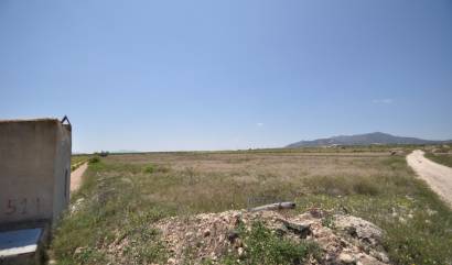 Venta - Land - Pinoso