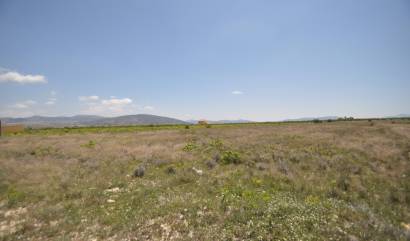 Venta - Land - Pinoso