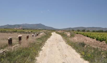 Venta - Land - Pinoso