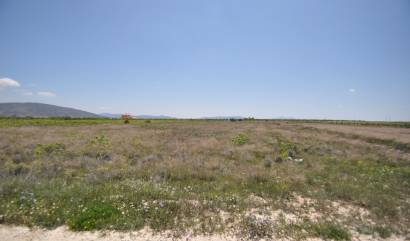 Venta - Land - Pinoso