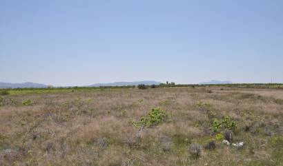 Venta - Land - Pinoso