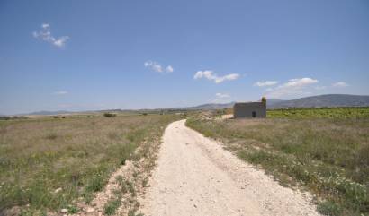 Venta - Land - Pinoso