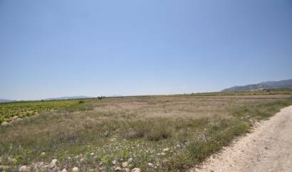 Venta - Land - Pinoso