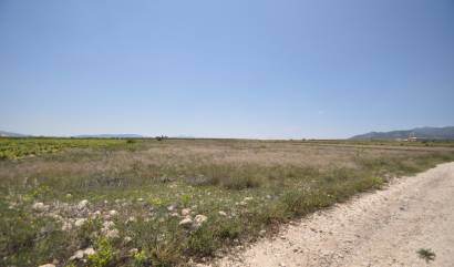 Venta - Land - Pinoso