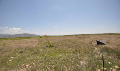 Venta - Land - Pinoso