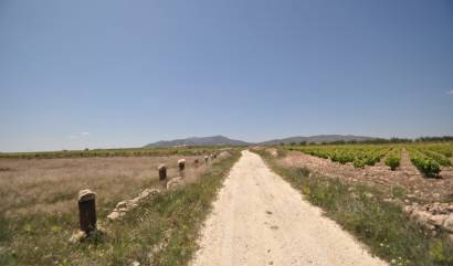 Venta - Land - Pinoso