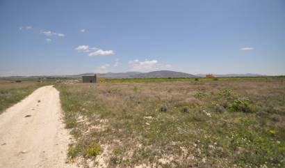 Venta - Land - Pinoso