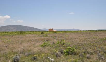 Venta - Land - Pinoso