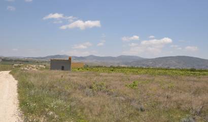 Venta - Land - Pinoso