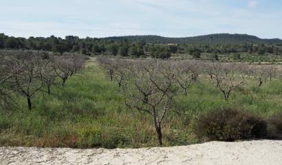 Venta - Land - San Miguel de Salinas - Torremendo