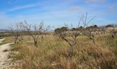 Venta - Land - San Miguel de Salinas - Torremendo