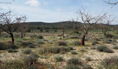 Venta - Land - San Miguel de Salinas - Torremendo