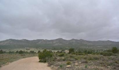 Venta - Land - Yecla