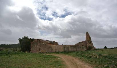 Venta - Land - Yecla