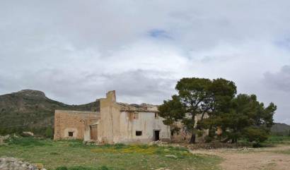 Venta - Land - Yecla